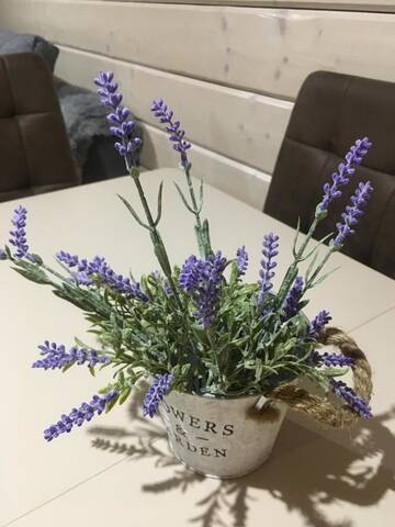 Фото номера Дом с 3 спальнями Дома для отпуска Provence г. Славское 11