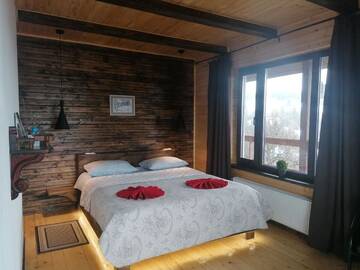 Фото номера Двухместный номер Делюкс с 1 кроватью Отель AGORA Chalet г. Славское 3
