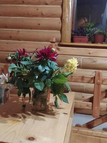 Фото номера Двухместный номер с 1 кроватью, вид на сад Гостевой дом Бабусин Двір г. Славское 20